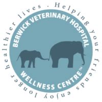 berwick vet|Book Online .